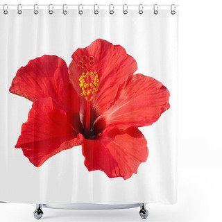 Personality  Hibiscus Rosa Sinensis Shower Curtains
