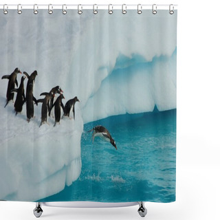 Personality  Penguins Diving Shower Curtains