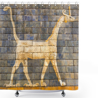 Personality  Tiled Old Wall Shower Curtains