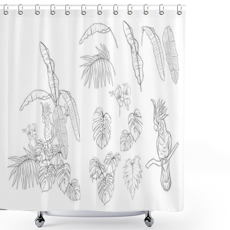 Personality  Set Of Elements For Design With Tropical Plants, Palm Leaves, Monsters, Orchids And Cockatoo Parrot. Graphic Drawing, Engraving Style. Vector Illustration Shower Curtains