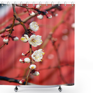 Personality  Spring Blossoming Branch On A Red Background Shower Curtains