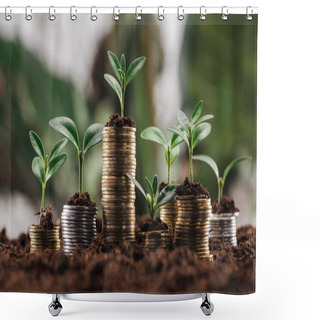 Personality  Silver And Golden Coins With Green Leaves And Soil, Financial Growth Concept Shower Curtains