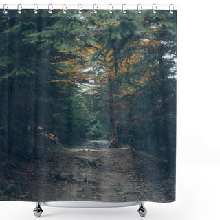 Personality  Dramatic View Of Beautiful Green Forest In Carpathians, Ukraine Shower Curtains