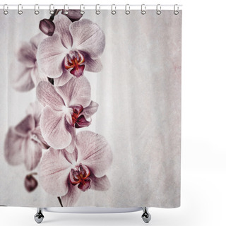 Personality  Pink Orchid Vintage Shower Curtains