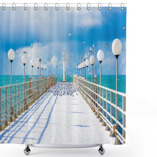 Personality  Seagulls On Pier In The Harbour Shower Curtains
