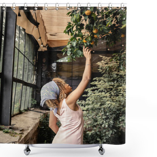 Personality  Side View Of Young African American Woman In Summer Dress And Headscarf Outstretching Hand At Lemons On Tree And Standing In Indoor Garden, Woman In Summer Outfit Posing Near Lush Tropical Plants Shower Curtains