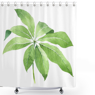 Personality  Exotic Tropical Hawaiian Green Palm Leaves Isolated On White. Watercolor Background Set.  Shower Curtains