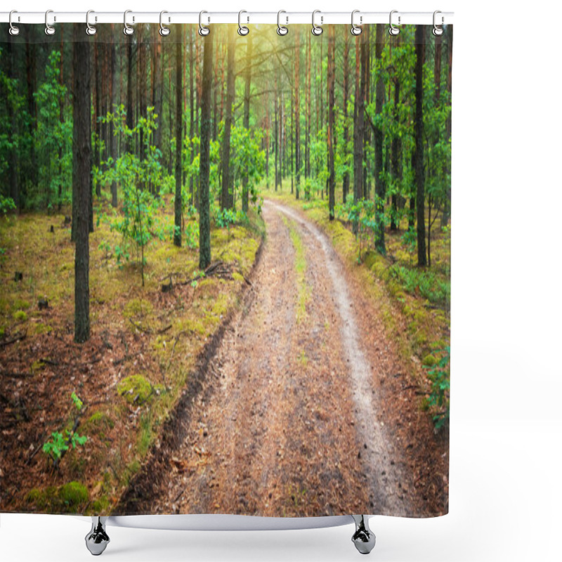 Personality  Pine Forest Shower Curtains