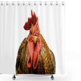 Personality  Rooster Shower Curtains