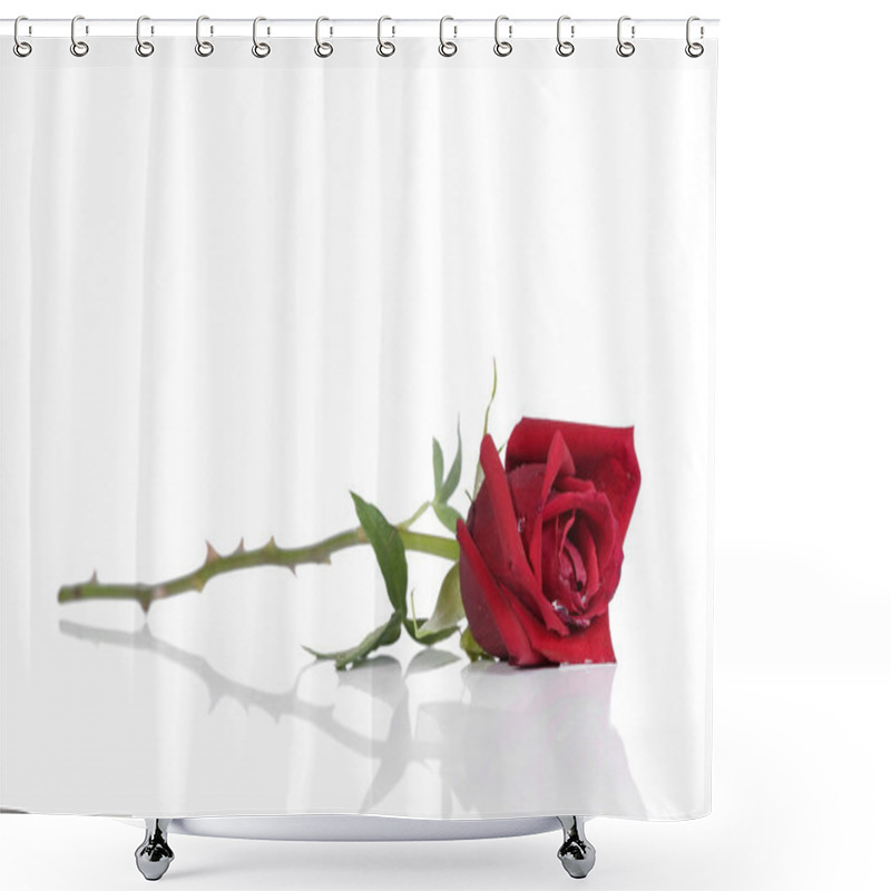 Personality  Single beautiful red rose shower curtains