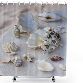 Personality  Seashells Shower Curtains