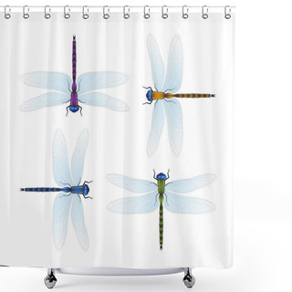 Personality  Four Varicolored Dragonflies On A White Background. Realistic Vector Illustration Shower Curtains
