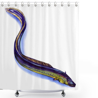 Personality  Fresh European Eel On White Background Shower Curtains