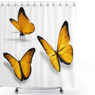 Personality  Three Yellow Butterfly, Isolated On White Background Shower Curtains