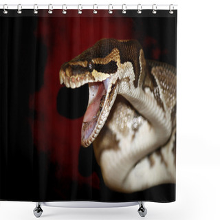 Personality  Snake Shower Curtains