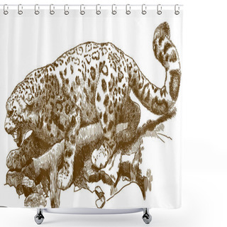 Personality  Engraving Illustration Of Snow Leopard Shower Curtains