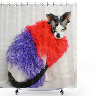 Personality  Sphynx Cat Wearing Red And Purple Pullover Shower Curtains