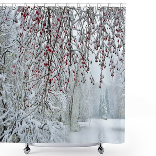 Personality  Snowfall In City Park- Winter Background Shower Curtains
