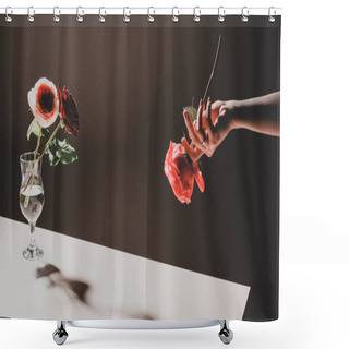 Personality  Partial View Of Woman Holding Pink Rose Flower And Red Roses In Wine Glass On Stone Table On Black Shower Curtains