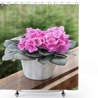 Personality  Saintpaulias (African Violets, Saintpaulia Ionantha) Shower Curtains