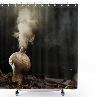 Personality  Puffball Fungus Spores Shower Curtains