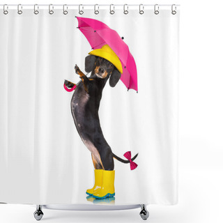 Personality  Sausage Dachshund Umbrella Rain Dog Shower Curtains