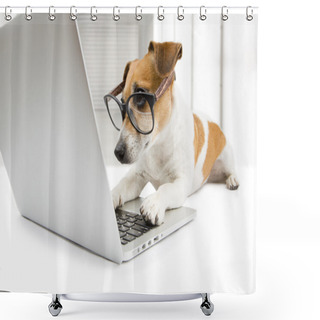 Personality  CLever Dog With Computer Shower Curtains
