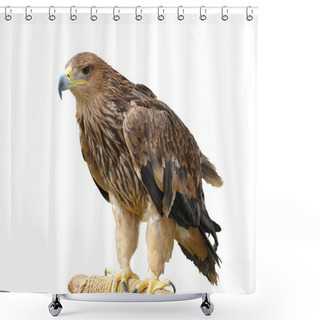 Personality  Young Brown Eagle Sitting On A Support Isolated Over White Shower Curtains