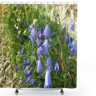 Personality  Carpathian Bell - Blue Flower In The Shape Of A Bell Shower Curtains
