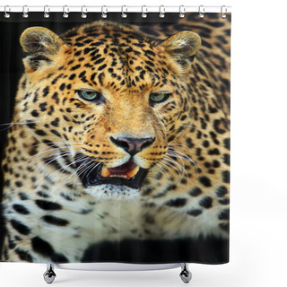 Personality  Leopard  Shower Curtains