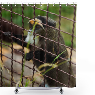 Personality  Selective Focus Of Lemur Climbing On Cage Near Grass In Zoo  Shower Curtains