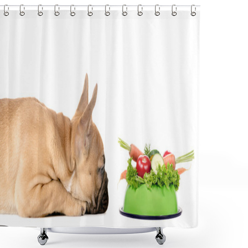 Personality  Dog With A Feeding Bowl Full Of Vegetables Shower Curtains