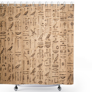 Personality  Egyptian Hieroglyphs On Wall Shower Curtains