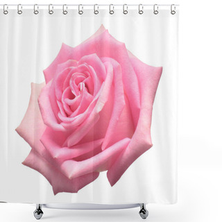 Personality  Beautiful Flower Pink Rose Isolated On White Background. Wedding Card. Greeting. Summer. Spring. Flat Lay, Top View. Love. Valentine's Day Shower Curtains