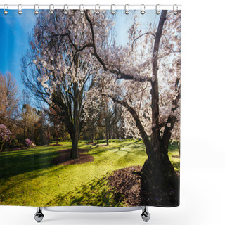 Personality  Christchurch Botanic Gardens In New Zealand Shower Curtains