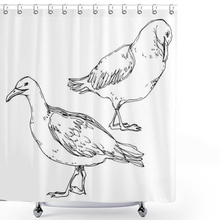 Personality  Vector Sky Bird Seagull In A Wildlife. Black And White Engraved Ink Art. Isolated Seagull Illustration Element. Shower Curtains