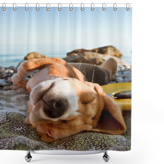 Personality  Sunbathing Dog Portrait Shower Curtains