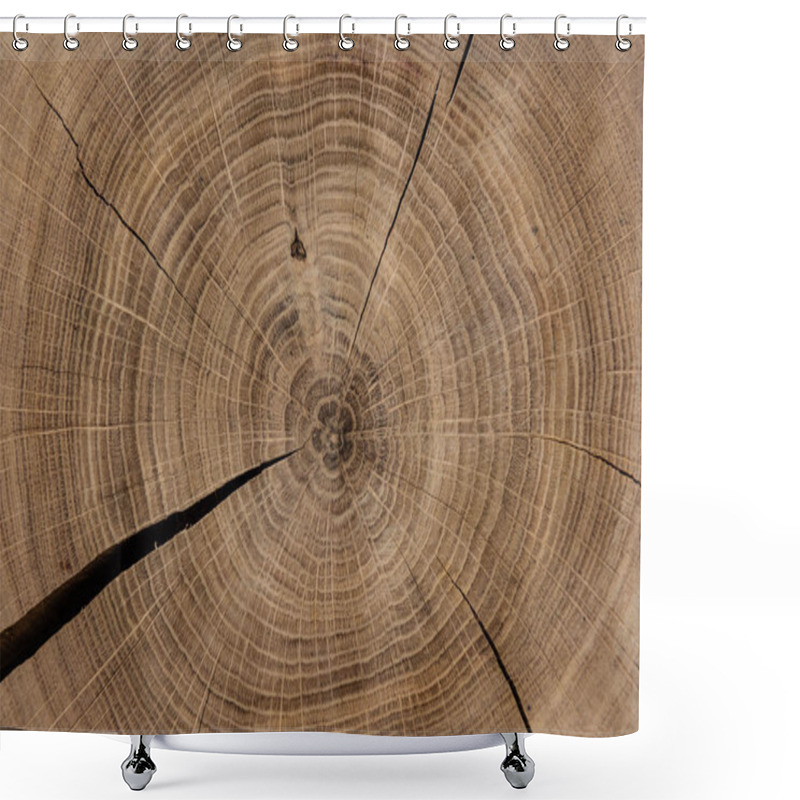 Personality  Circular Sawed Wood Detailed Background Shower Curtains
