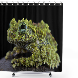 Personality  The Mossy Frog (Theloderma Corticale) Is A Highly Cryptic Frog Species Endemic To Some Cave Systems In Vietnam. Shower Curtains