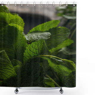 Personality  Close Up View Of Fresh Aromatic Peppermint Leaves Shower Curtains