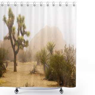 Personality  Foggy Spring Day At Joshua Tree National Park Shower Curtains
