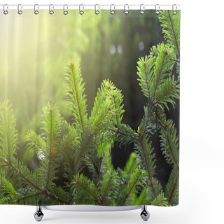 Personality  Spruce Twig Shower Curtains