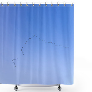 Personality  Migratory Birds  Shower Curtains