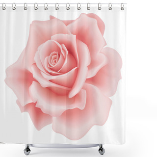 Personality  Isolated Pink Rose Shower Curtains