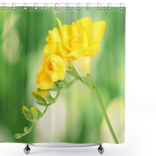 Personality  Beautiful Yellow Freesia On Green Background Shower Curtains