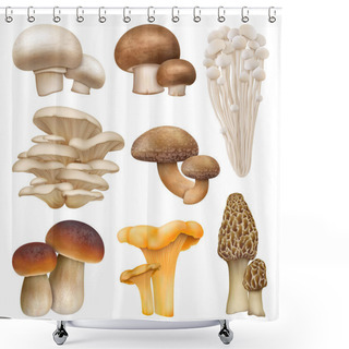 Personality  Edible Mushroom Realistic Plants, Enoki, Oyster Mushrooms. Golden Chanterelle, Morel And Cremini Natural Mushroom Plants Vector Illustration Set. Realistic Mushrooms Shower Curtains