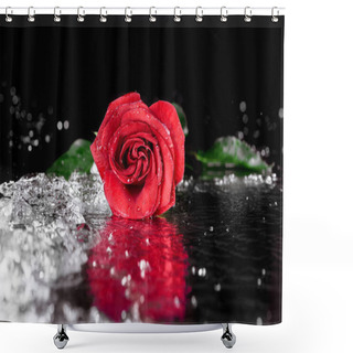Personality  Red Rose With Water Drops Shower Curtains