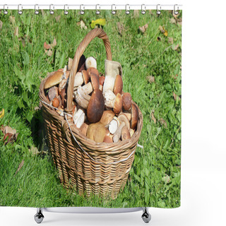 Personality  Basket With Boletus Edulis On Grass Shower Curtains