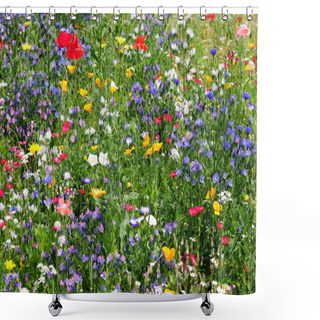 Personality  Flower Meadow Shower Curtains