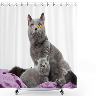 Personality  Cat With Kitten Isolated On White Shower Curtains